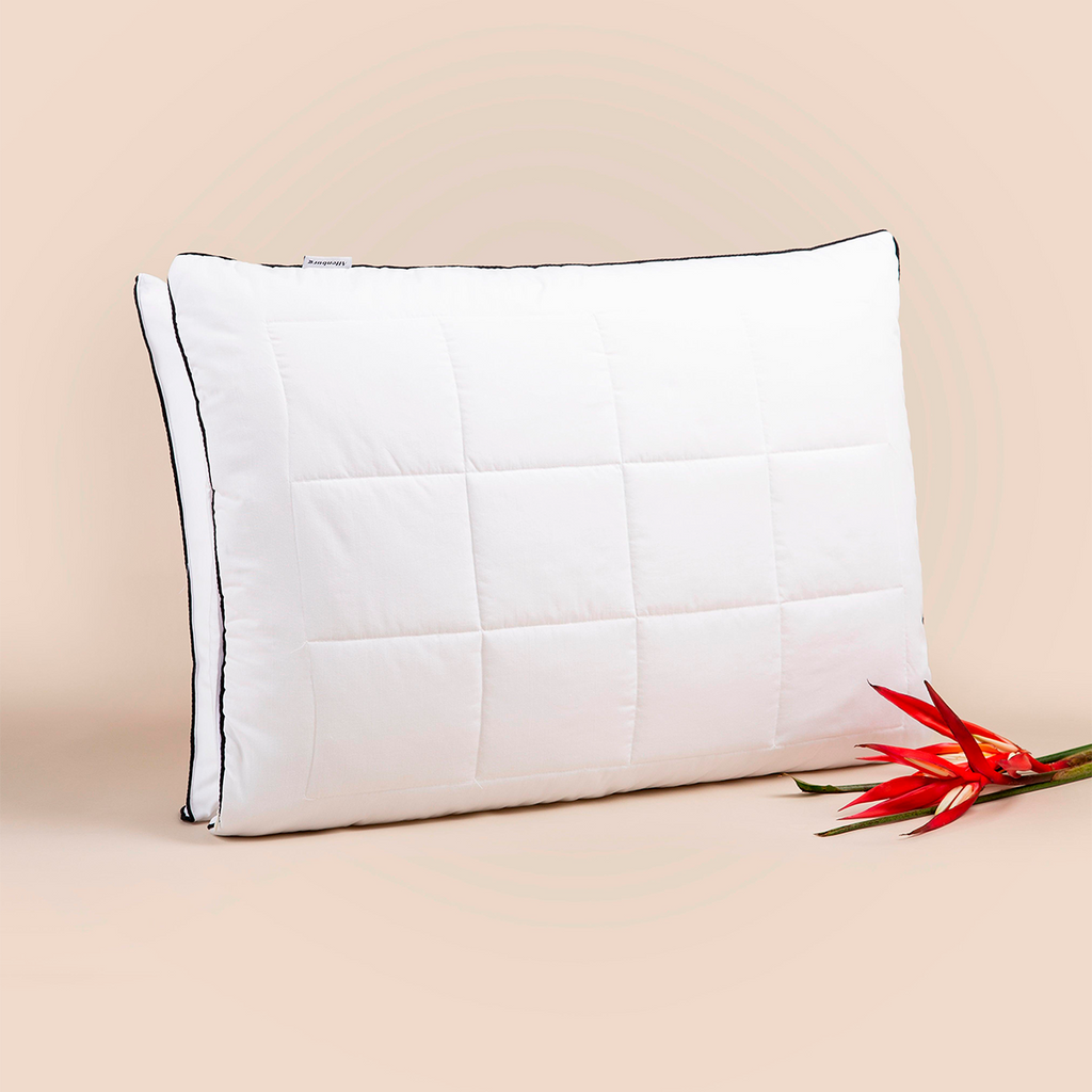 Pillow Twins 46x66 cm - Altenburg - Set of 2
