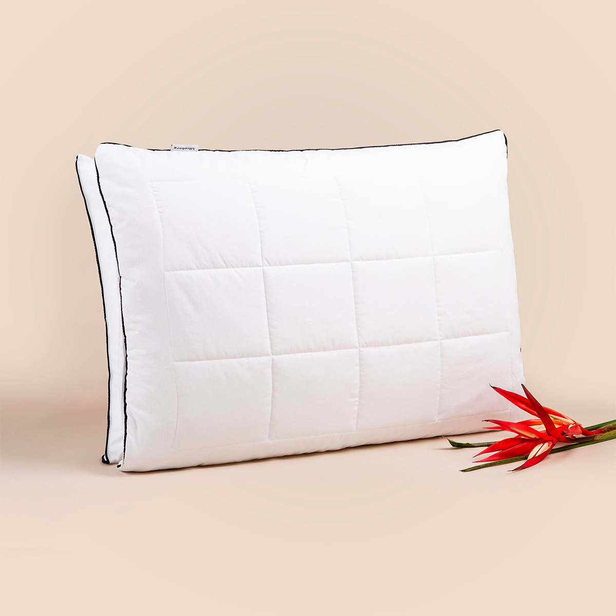 Pillow Twins 46x66 cm - Altenburg - Set of 2
