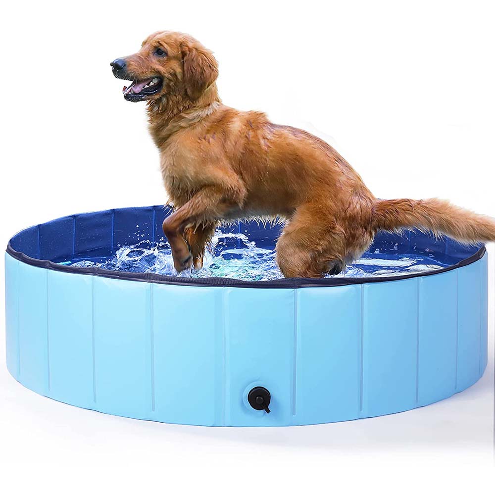 Dog pool