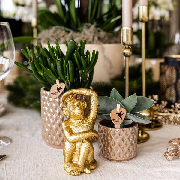 Diamond Pearl Decorative Pot - Sand - Ø9cm - Stone-look Planter - Elegant Decorative Pot for Indoor Plants, Succulents & Cacti