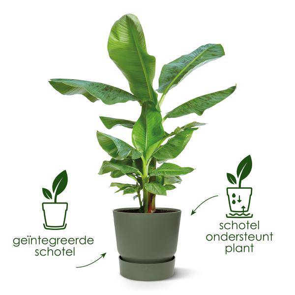 Greenville Plant Pot Black – D39 x H37 – Flower Pot for Indoors & Outdoors – Elegant Planter – Timeless Cachepot for Large Rooms