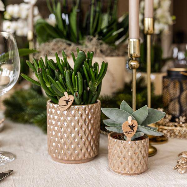 Diamond Pearl Decorative Pot - Sand - Ø9cm - Stone-look Planter - Elegant Decorative Pot for Indoor Plants, Succulents & Cacti
