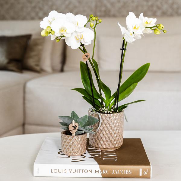Diamond Pearl Decorative Pot - Sand - Ø9cm - Stone-look Planter - Elegant Decorative Pot for Indoor Plants, Succulents & Cacti